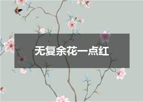 无复余花一点红