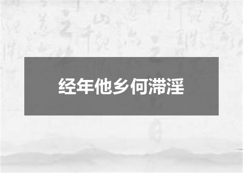 经年他乡何滞淫