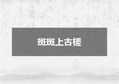 斑斑上古槎