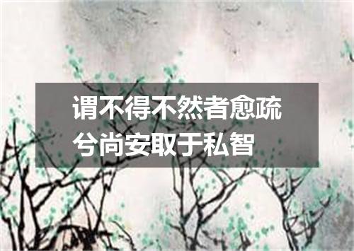 谓不得不然者愈疏兮尚安取于私智