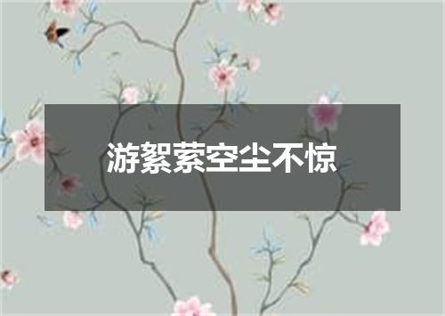 游絮萦空尘不惊