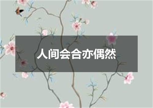 人间会合亦偶然