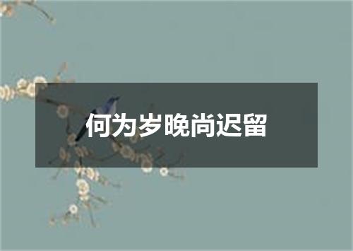 何为岁晚尚迟留