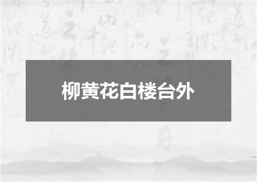 柳黄花白楼台外