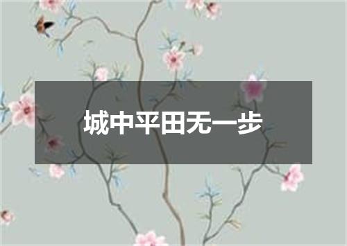 城中平田无一步