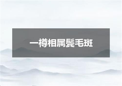 一樽相属鬓毛斑