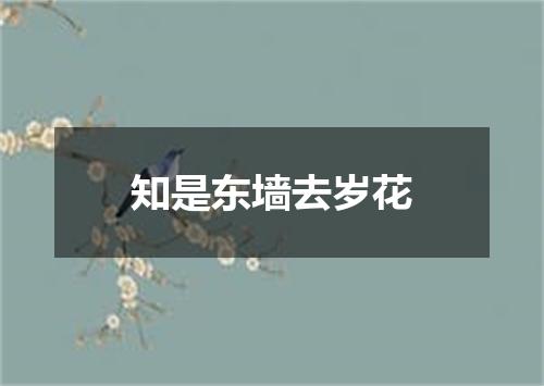 知是东墙去岁花