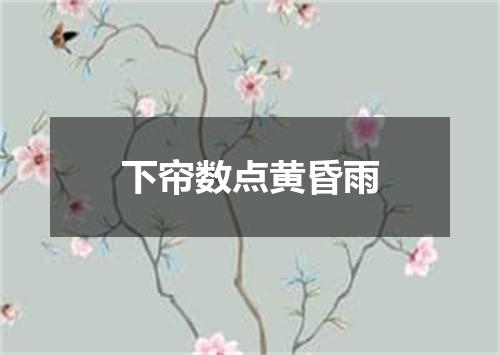 下帘数点黄昏雨