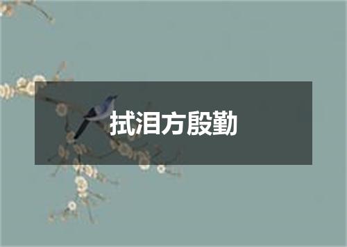 拭泪方殷勤