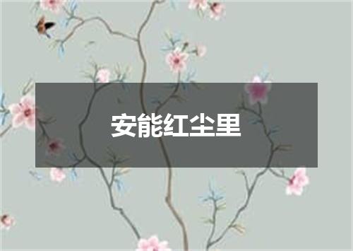 安能红尘里