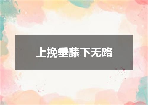 上挽垂藤下无路