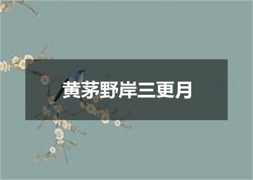 黄茅野岸三更月