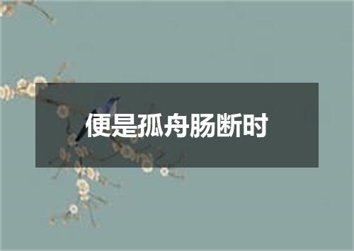 便是孤舟肠断时