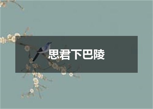 思君下巴陵