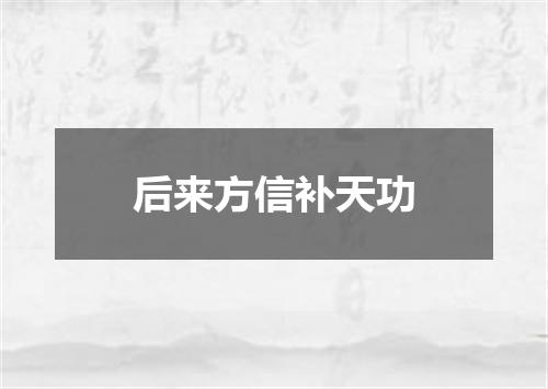 后来方信补天功