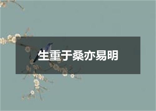 生重于桑亦易明