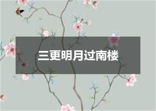 三更明月过南楼