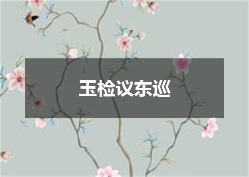 玉检议东巡