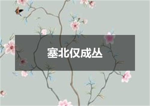 塞北仅成丛