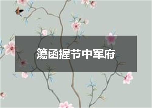 簜函握节中军府