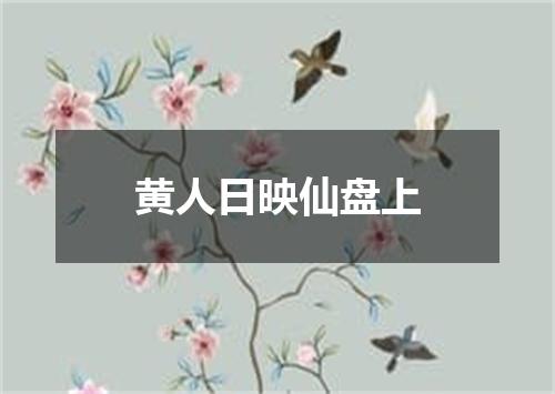 黄人日映仙盘上