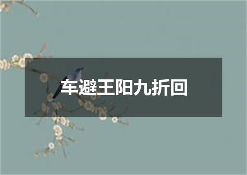 车避王阳九折回