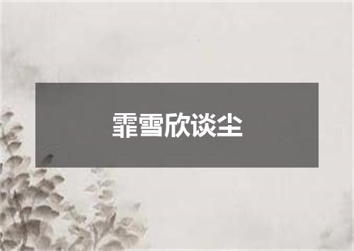 霏雪欣谈尘