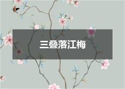 三叠落江梅