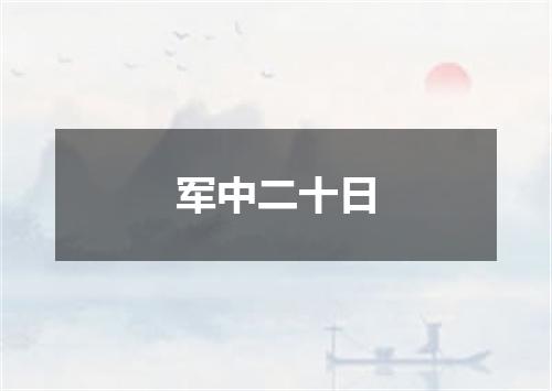 军中二十日