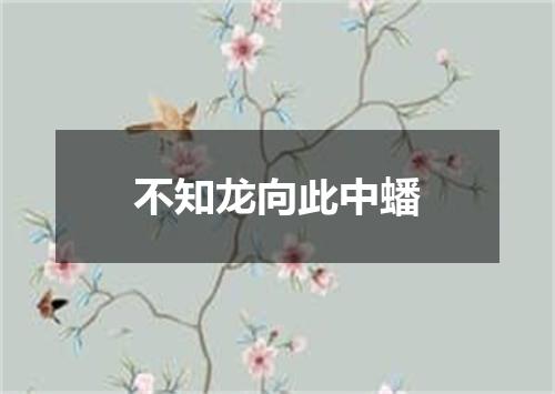 不知龙向此中蟠