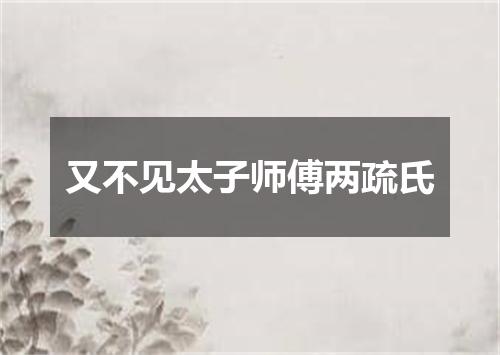 又不见太子师傅两疏氏