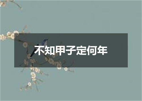 不知甲子定何年