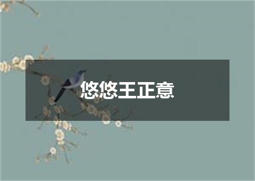 悠悠王正意