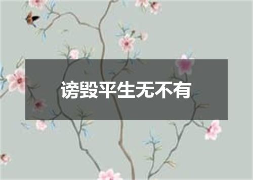 谤毁平生无不有