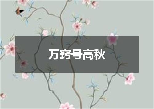 万窍号高秋