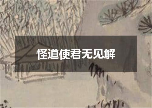 怪道使君无见解