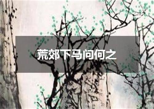 荒郊下马问何之