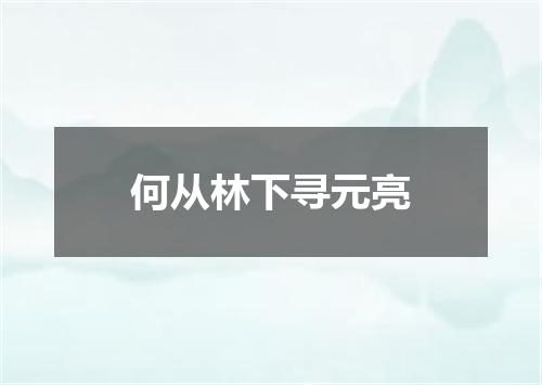 何从林下寻元亮