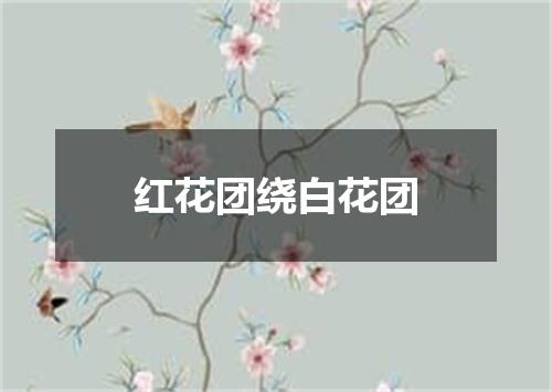 红花团绕白花团