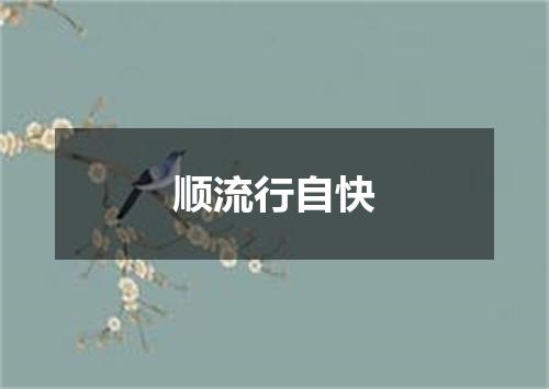 顺流行自快