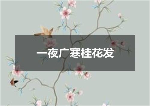 一夜广寒桂花发