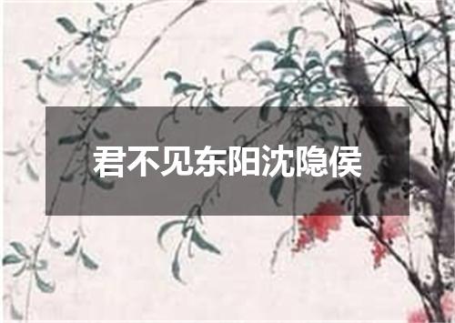 君不见东阳沈隐侯