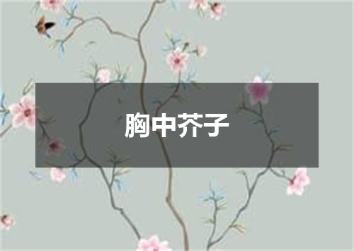 胸中芥子