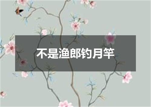 不是渔郎钓月竿