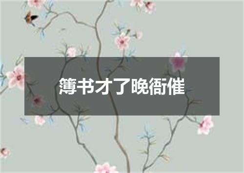 簿书才了晚衙催