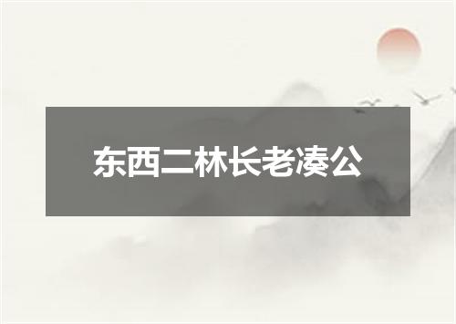 东西二林长老凑公