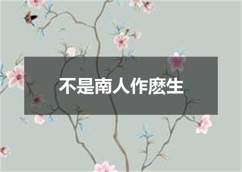 不是南人作麽生