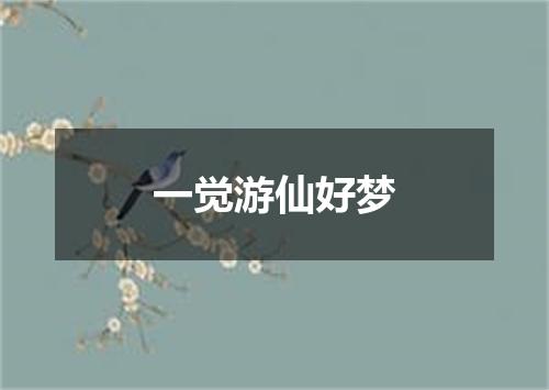 一觉游仙好梦