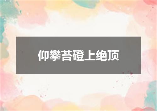 仰攀苔磴上绝顶