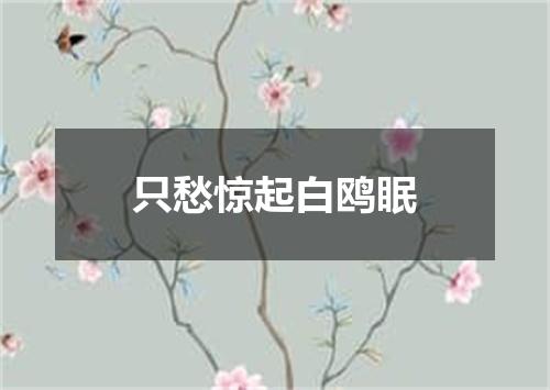 只愁惊起白鸥眠